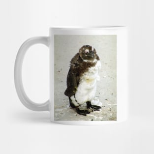 Baby South African Penguin Moulting Mug